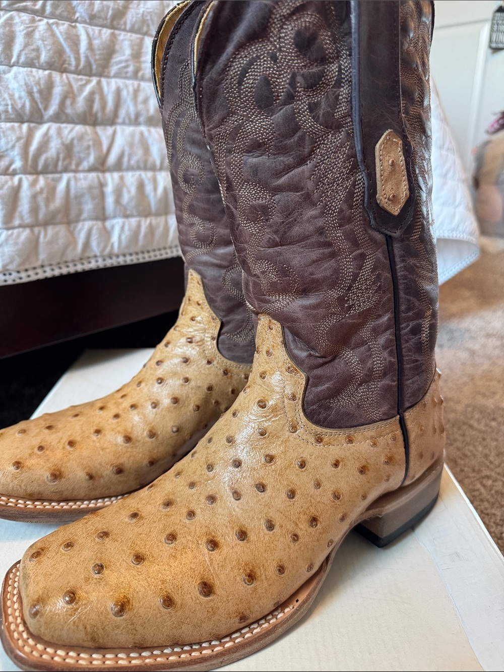 Men’s (sz 7) Ostrich print  Dark Brown Leather Shaft Cowboy Boots